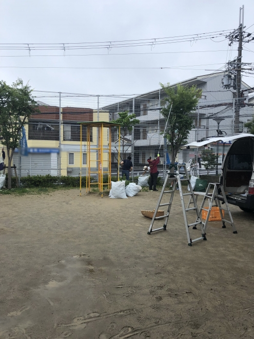 0630 剪定3-2a